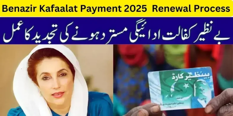 Rejection Renewal Process Complete Guide: Benazir Kafaalat Payment