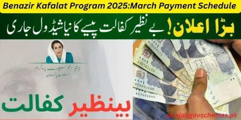 Benazir Kafalat Program