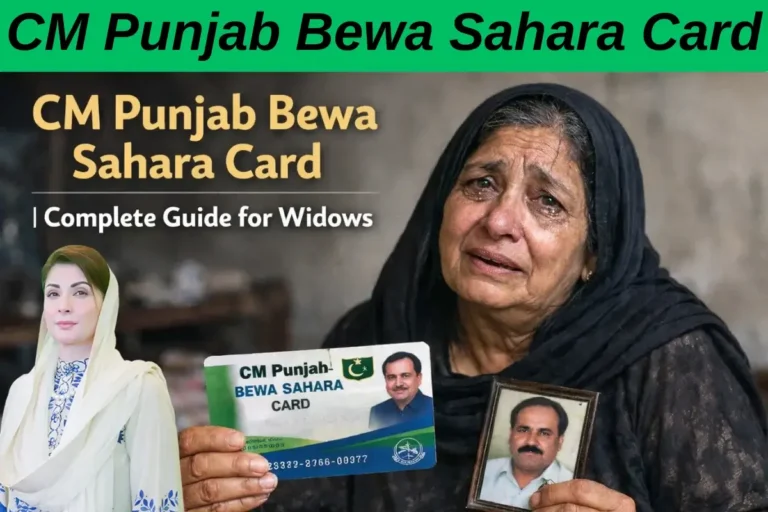 CM Punjab Bewa Sahara Card Complete Guide