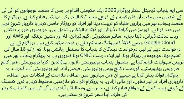 CM Punjab Digital Skills Program Highlights