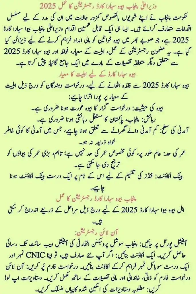 Key Benefits of the CM Punjab Bewa Sahara Card 2025