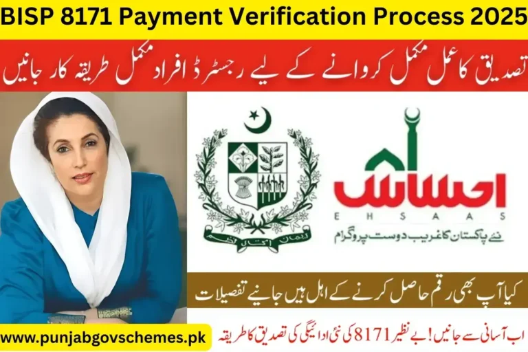 BISP 8171 Payment Verification