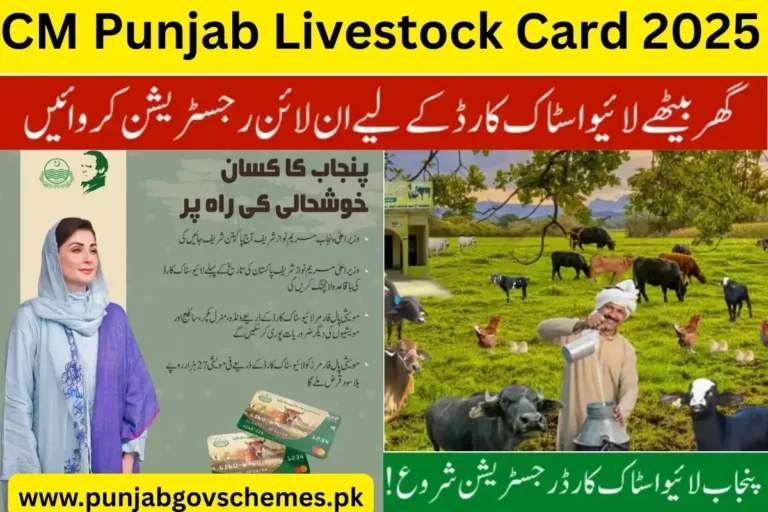 CM Punjab Livestock Card 2025