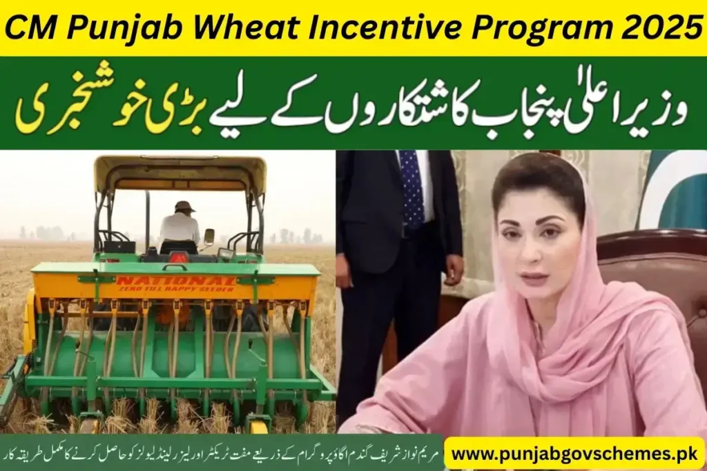 What is the CM Punjab Wheat Incentive Program 2025