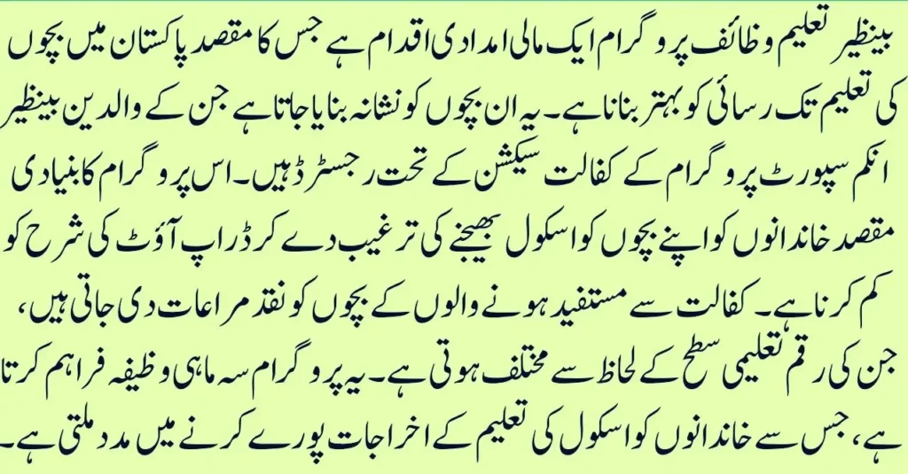 Why the Benazir Taleemi Wazifa Program Matters