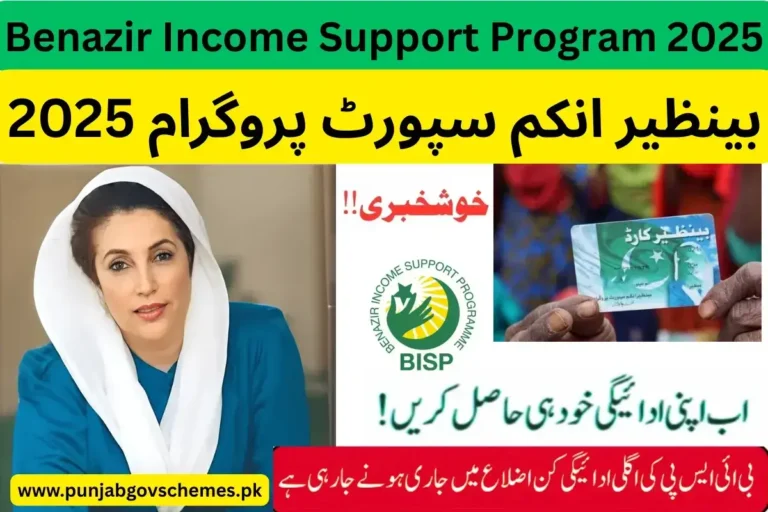 Benazir Income Support Program