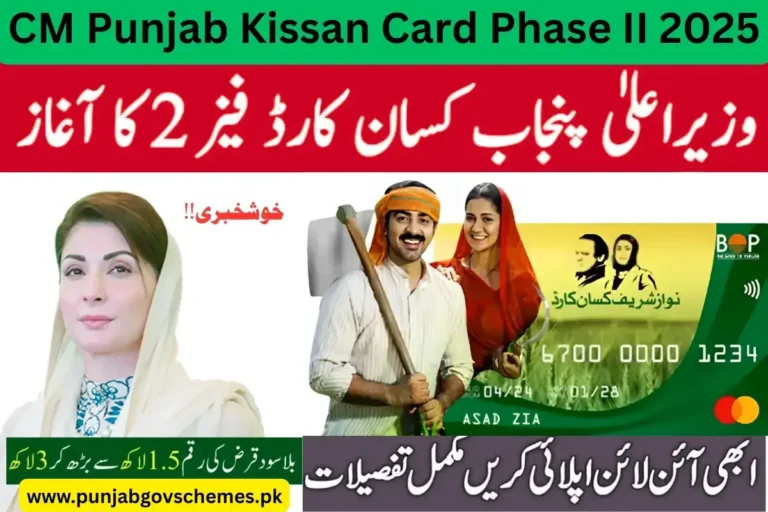 CM Punjab Kissan Card Phase II 2025