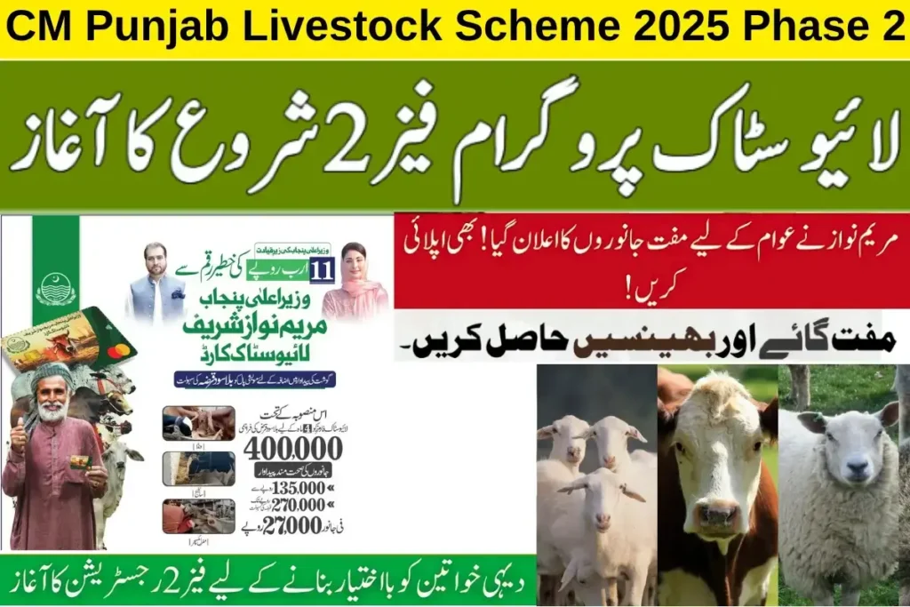 CM Punjab Livestock Scheme 2025 Phase 2 Overview