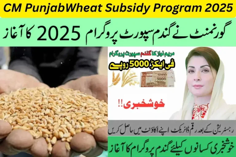CM Punjab Wheat Subsidy Program 2025