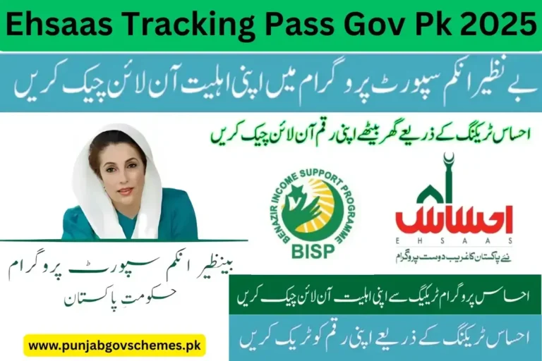 Ehsaas Tracking Pass Gov Pk