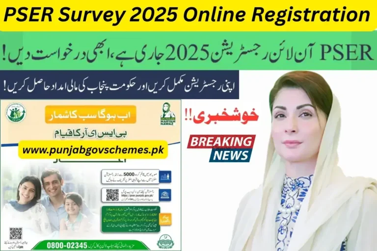 PSER Survey 2025