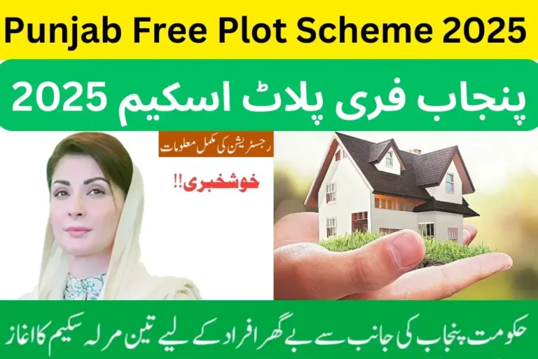 Punjab Free Plot Scheme 2025
