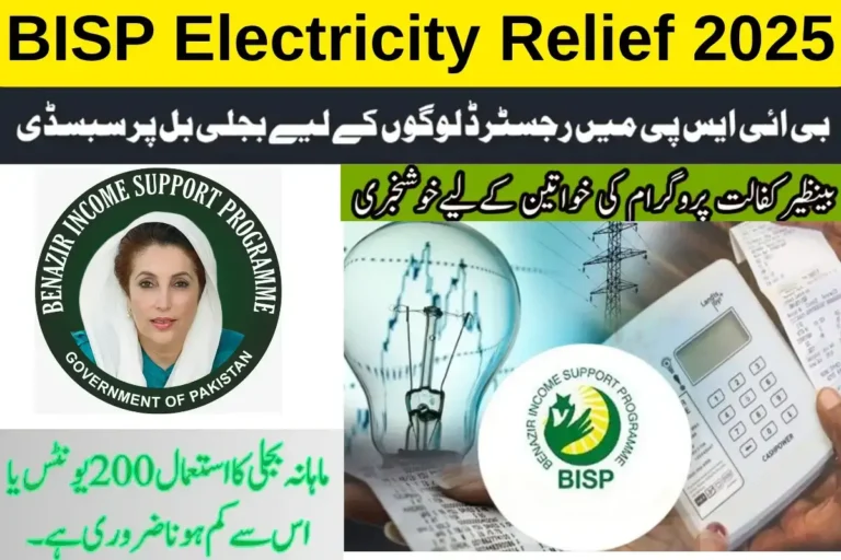 BISP Electricity Relief 2025