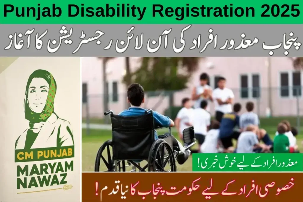 Punjab Disability Registration 2025 Overview