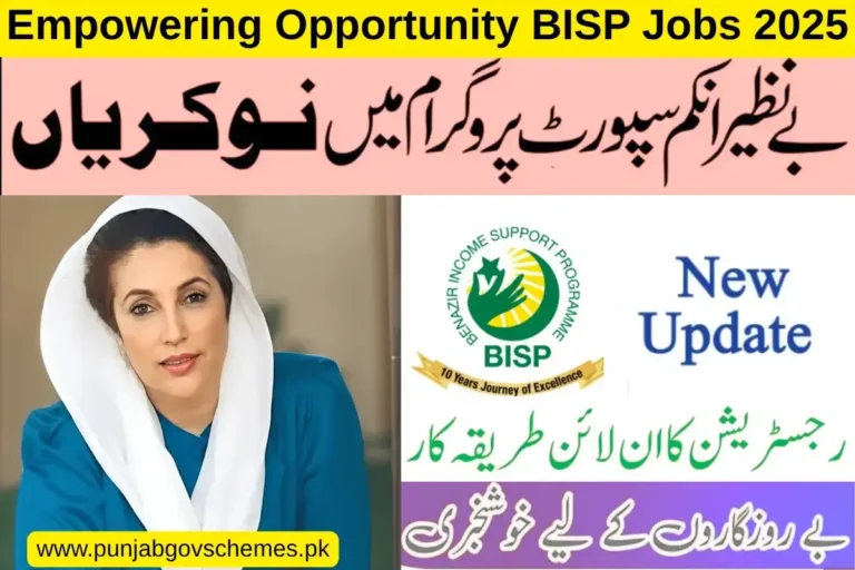Empowering Opportunity: BISP Jobs 2025 Hope for Unemployed Youth