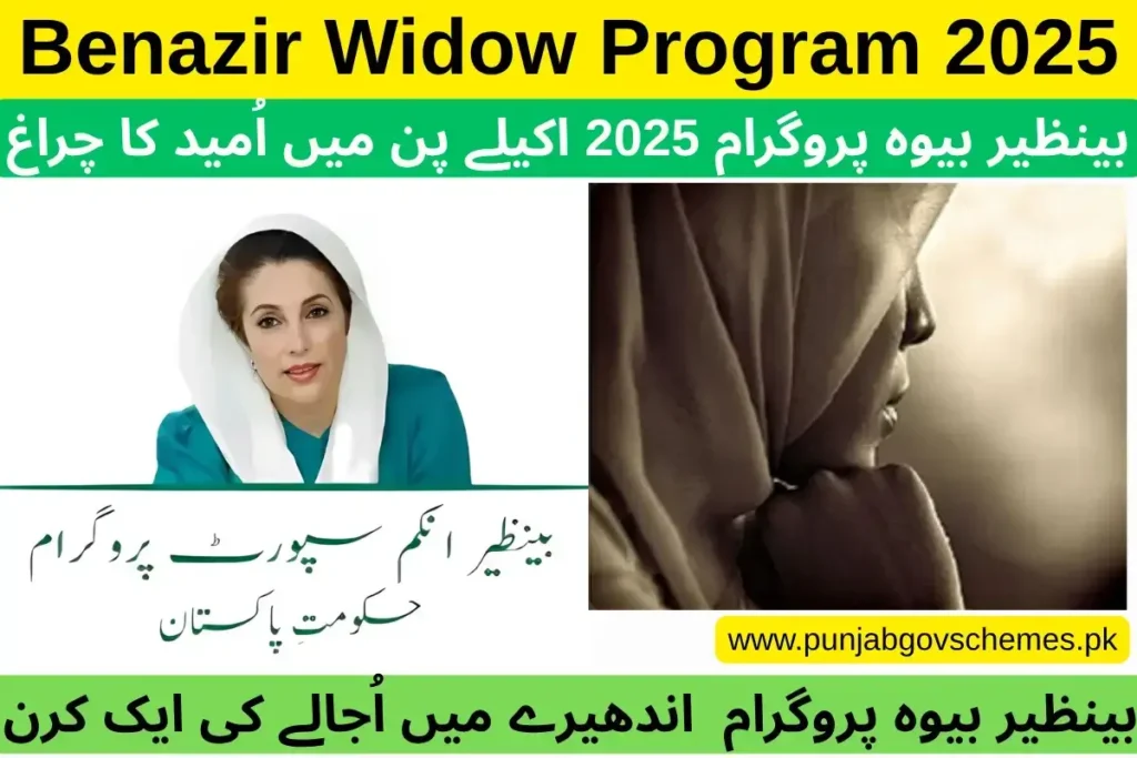 Benazir Widow Program 2025 Complete Guide