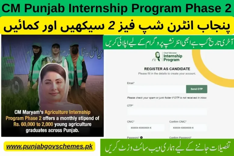 CM Punjab Internship Program Phase 2