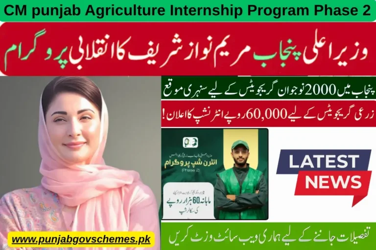 CM punjab Agriculture Internship Program Phase 2