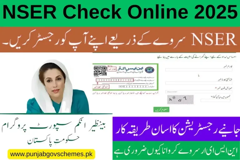 NSER Check Online 2025
