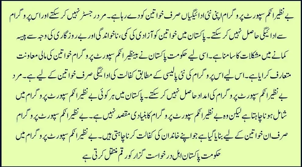 What is the BISP Program Women Financial 2025