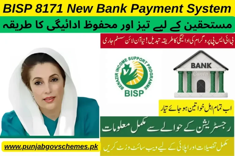 BISP 8171 New Bank Payment System