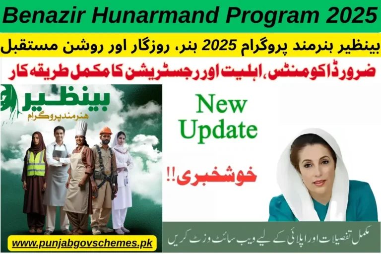 Benazir Hunarmand Program 2025