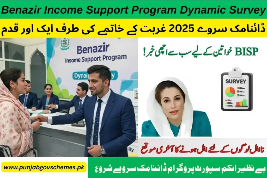 Benazir Income Support Program Dynamic Survey 2025 for Deserving Families