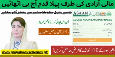 CM Punjab Loan Scheme August 2025