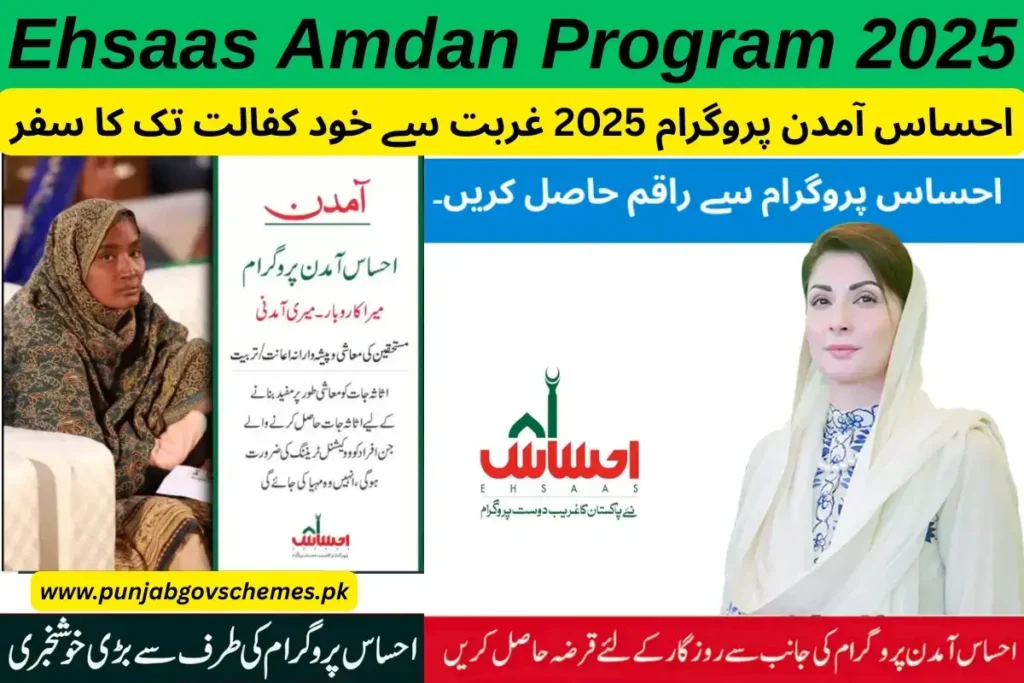 Ehsaas Amdan Program 2025 Overview