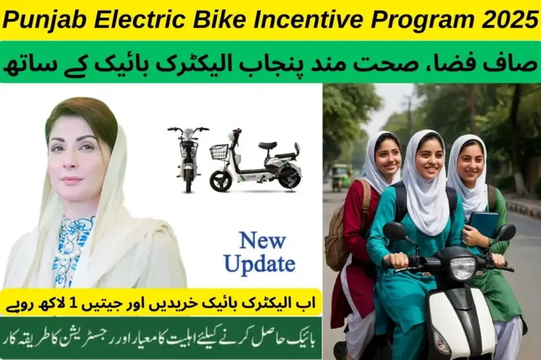 Punjab Electric Bike Incentive Program 2025