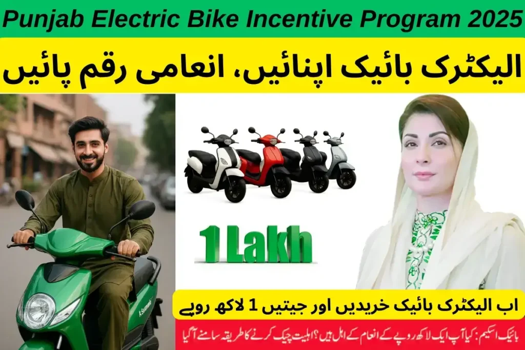 Punjab Electric Bike Incentive Program 2025 Overview