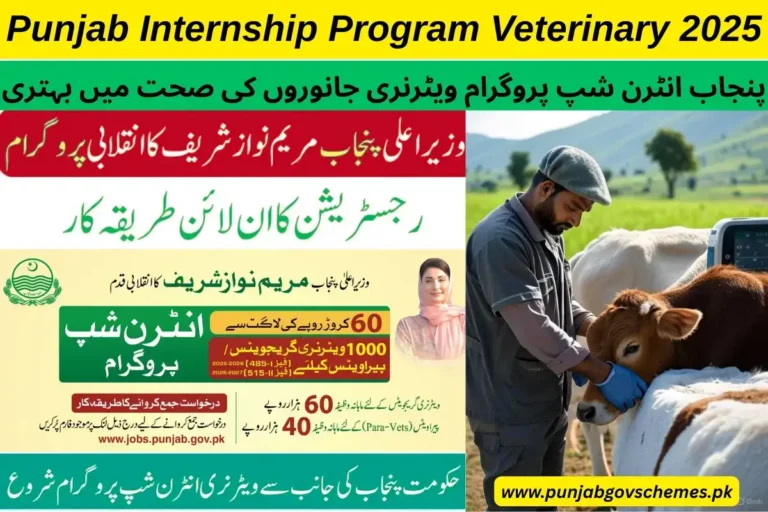 Detailed Guide Of Punjab Internship Program Veterinary 2025