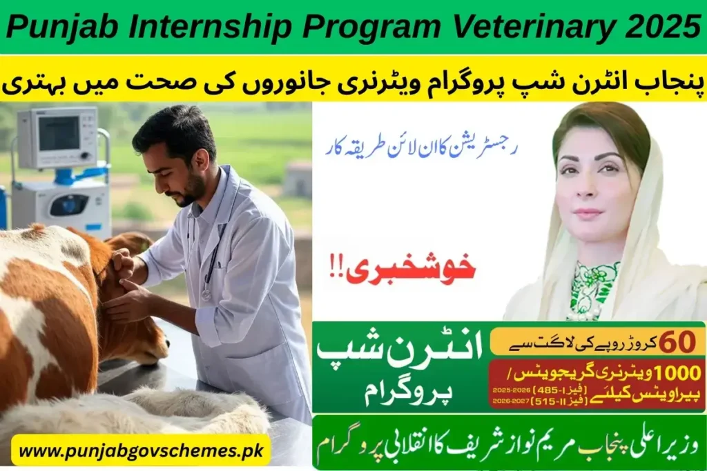 Punjab Internship Program Veterinary 2025 Overview