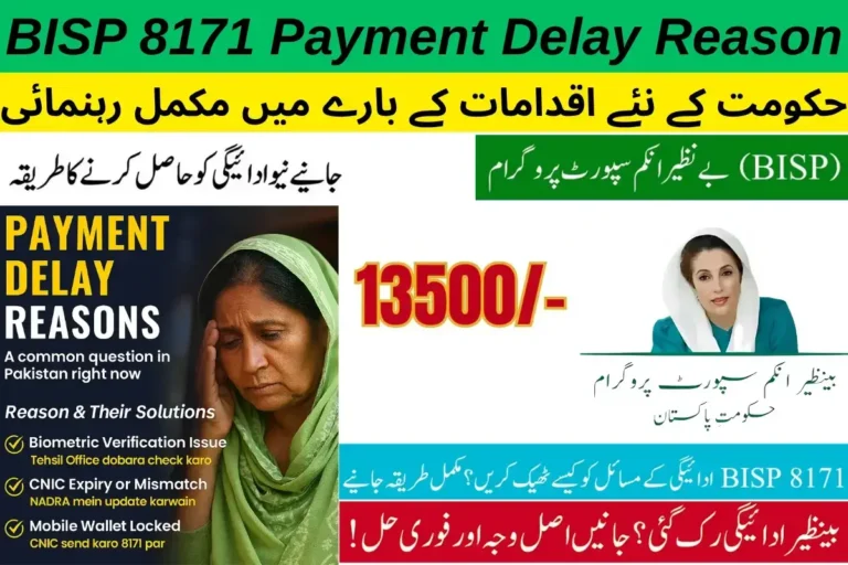 BISP 8171 Payment Delay Reason