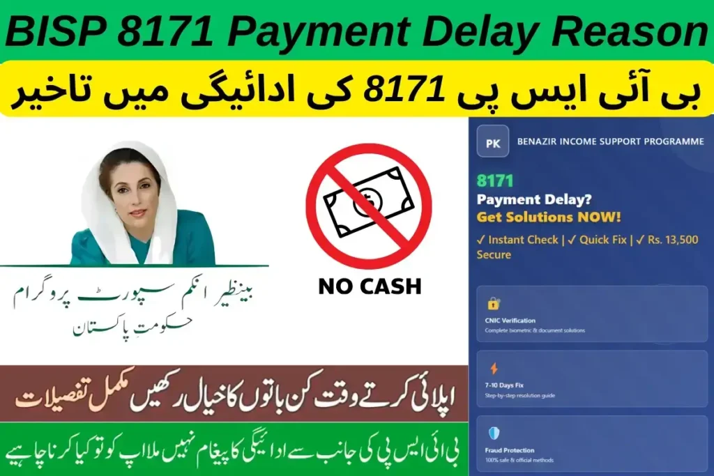 BISP 8171 Payment Delay Reason Urgent Solutions