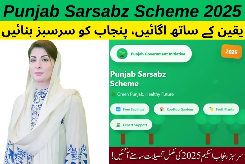 Punjab Sarsabz Scheme 2025  Complete Guide & Benefits